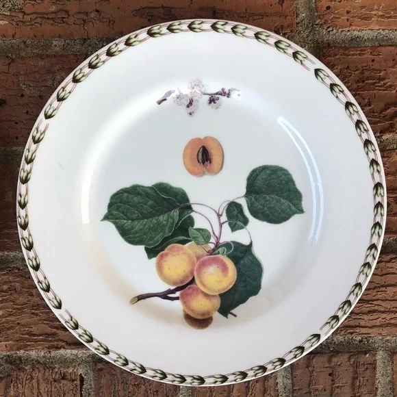 2 Queens Fine China Royal Horticulture Society Hookers Fruit Dinner Plates